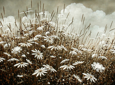 Sepia Field by Jordan Hicks