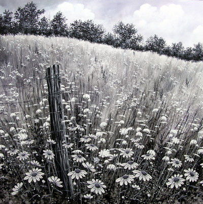 Rural Celebration by Jordan Hicks