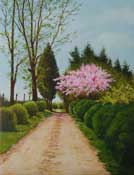 Gentle Morning by Geraldine McKeown